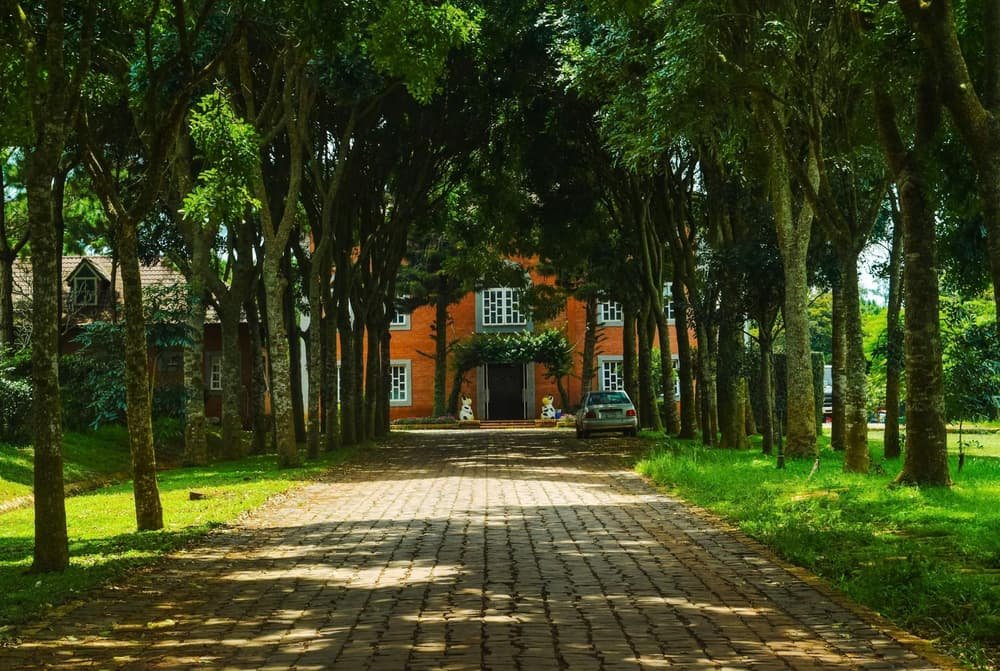 Garage door services in Atkinson